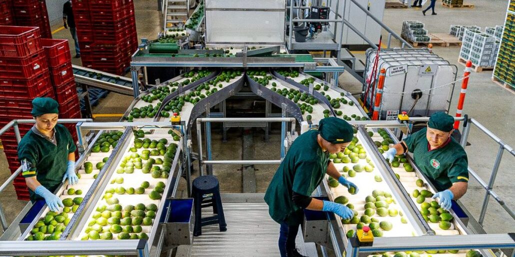 Tratamiento de Aguas Residuales de Procesos de Palta