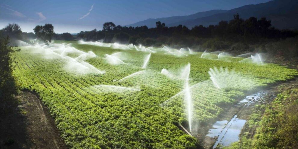 agua-y-agricultura-1_comp